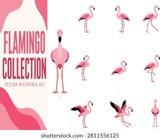 Premium collection of ten consistent flat graphic vector illustrations featuring the Greater Flamingo (Phoenicopterus roseus) in multiple natural poses and viewpoints. Includes front, side, three-quarter, walking, looking left, looking right, one-leg standing, wings half open, landing and back views. Simplified geometric construction with solid colors only, optimized for easy vector tracing. Ideal for wildlife, education, branding, packaging, websites and commercial stock illustration projects.