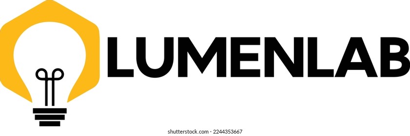 premium company branding logo template