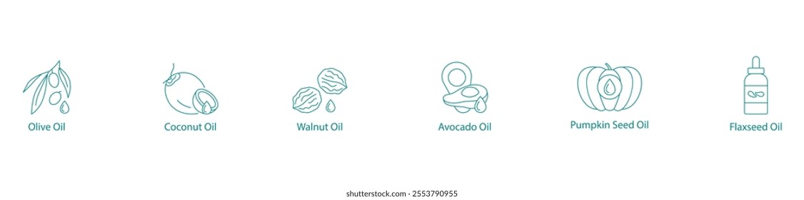 Premium Cooking Oils Vector Icon Set: Olive, Coconut, Walnut, Avocado, Pumpkin Seed, Flax Seed