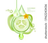 Premium Cucumber fresh product vector illustration.