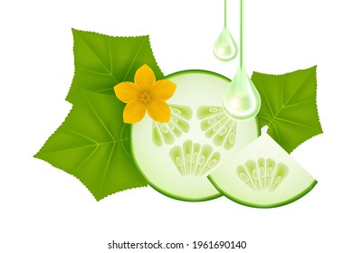 Ilustración portadora de producto fresco Premium Cucumber.