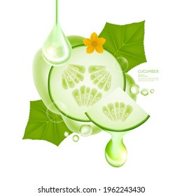 Premium Cucumber fresh product vector illustration.