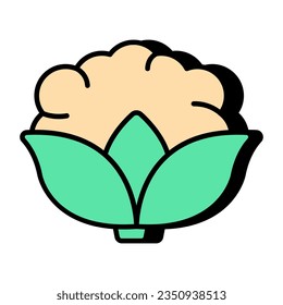 Premium download icon of cauliflower 