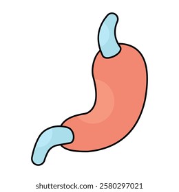 Premium download icon of stomach