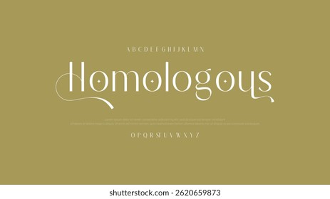 Premium Elegant Serif Font Family - Versatile Fonts for Branding and Luxury Design