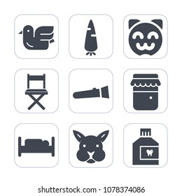 Premium fill icons set on white background . Such as flight, vegetable, bird, jam, hygiene, seat, glass, healthy, light, wildlife, dental, asian, torch, ripe, lamp, flashlight, cute, white, double