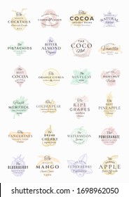 Premium Fruits, Berries, Nuts, Spices Elegant Labels Set. Abstract Vector Signs, Symbols or Logo Templates Bundle. Hand Drawn Food Sketches with Retro Typography. Vintage Emblems Collection. Isolated