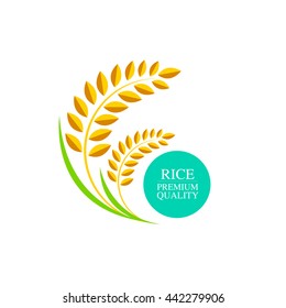 Premium gold rice vector illustration