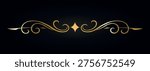 Premium Golden Divider with Modern Circuit Style Lines on Black Background