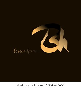 Premium gradation letter Bh initials logo. Universal symbol icon vector design template vector for business and company.