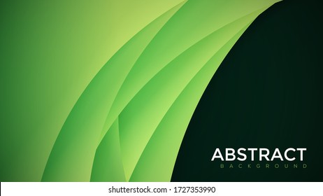 Premium green abstract background with gradient color background and dynamic shadow on background. Vector background. Eps10