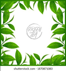 The Premium green tea for good health vector illustration.