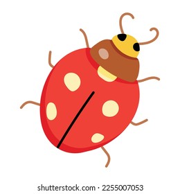 Icono de ladybug dibujado a mano premium 
