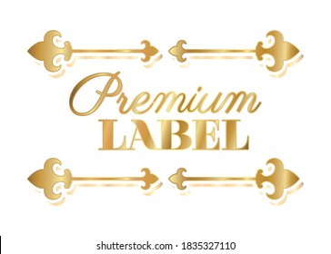 Premium label divider ornament gold design of Decorative element theme Vector illustration