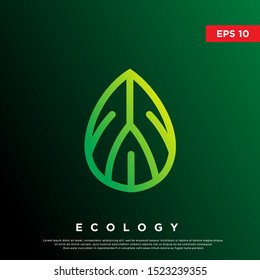 premium leaf drop logo. modern monoline icon, template design