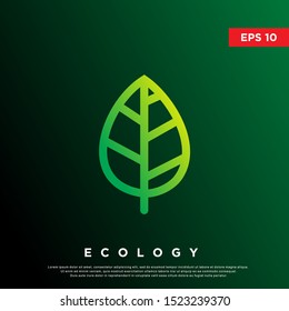 premium leaf drop logo. modern monoline icon, template design