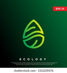 premium leaf drop logo. modern monoline icon, template design