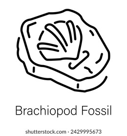 Premium line style icon of brachiopod fossil
