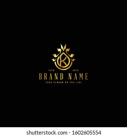 Premium luxury logo letter K vector template