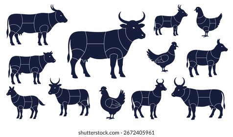 Premium meat cuts chart showing different animal carcass sections and prime beef poultry lamb pork cuts