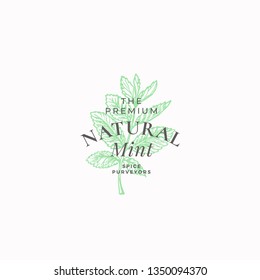 Premium Natural Mint Abstract Vector Sign, Symbol or Logo Template. Mint Branch with Leaves Sketch Illustration with Retro Typography. Vintage Luxury Emblem. Isolated.