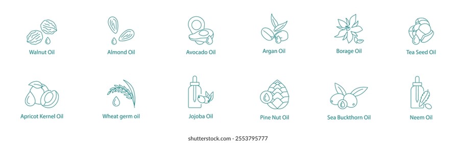 Premium Natural Oils Vector Icon Set: Walnut, Almond, Avocado, Argan, Borage, Tea Seed, Apricot Kernel, Wheat Germ, Jojoba, Pine Nut, Sea Buckthorn, Neem