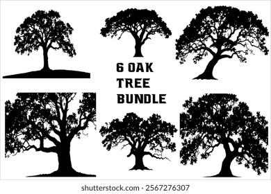 Premium Oak Tree Bundle for Your Landscape silhouette