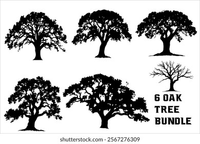Premium Oak Tree Bundle for Your Landscape silhouette
