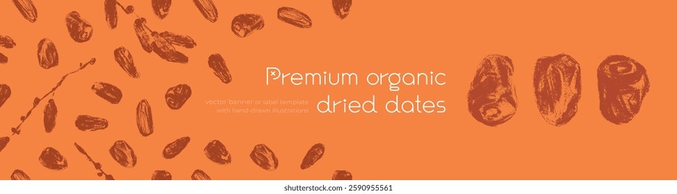 Premium organic dried dates. Vector template banner design. Dried dates background. Hand drawn charcoal date drawings. Label cosmetics, packaging for natural syrup design.