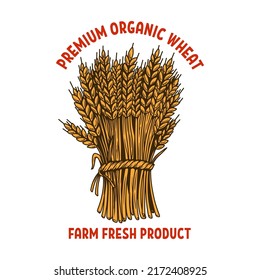 Premium organic wheat. Illustration of sheaf of wheat in engraving style. Design element for emblem, sign, poster, package design. Vector illustration