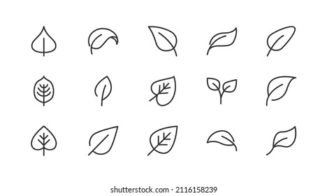 Premium pack of leaf  line icons. Stroke pictograms or objects perfect for web, apps and UI. Set of 20 leaf  outline signs. 