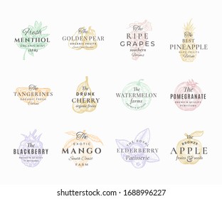 Premium Qualituy Fruits, Berries and Spices Elegant Labels Set. Abstract Vector Signs, Symbols or Logo Templates. Hand Drawn Food Sketches with Retro Typography. Vintage Emblems Collection. Isolated.