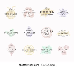 Premium Qualituy Nuts, Fruits and Spices Elegant Labels Set. Abstract Vector Signs, Symbols or Logo Templates. Hand Drawn Food Sketches with Retro Typography. Vintage Luxury Emblems. Isolated.