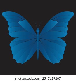 Diseño de Vector de mariposa de calidad Premium en ilustrador