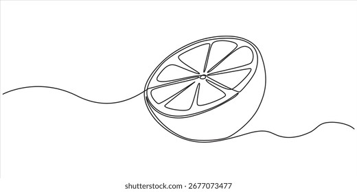 Premium Quality Design Element, orange fruit continuous one line drawing, One continuous line.