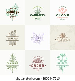 Premium Quality Herbs and Spices Vector Signs or Logo Templates Collection. Hand Drawn Parsley, Cannabis, Cinnamon, Vanilla and Cocoa Beans Sketches with Typography. Food Emblems Bundle. Isolated.