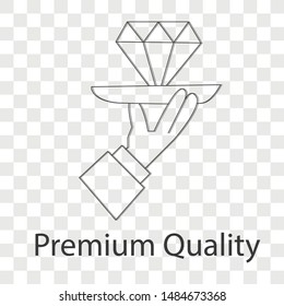 Premium quality icon on transparency background. Line vector illustration. 