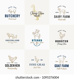 Premium Quality Retro Cattle and Poultry Vector Signs or Logo Templates Set. Hand Drawn Vintage Domestic Animals and Birds Sketches with Classy Typography, Pig, Cow, Chicken, etc. Isolated.