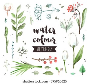 Premium quality watercolor icons set of spring floral blossom, various herb plants. Hand drawn realistic vector decoration with text lettering. Flat lay watercolor objects isolated on white background