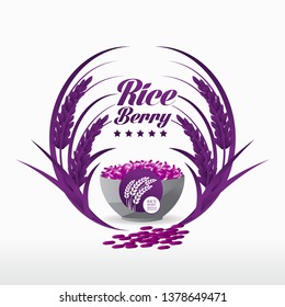 Premium Rice Berry great quality design concept  vector.
