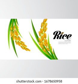 Premium Rice great quality design concept  vector.
