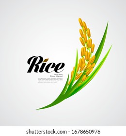 Premium Rice great quality design concept  vector.