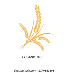 Premium Rice great quality design concept vector.Vector logo label or package with yellow rice wheat rye grains. Concept for asian agriculture organic cereal products bread and bakery factory.