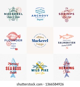 Premium Seafood Vector Signs or Logo Templates Set. Hand Drawn Vintage Fish Sketches with Classy Typography, Tuna, Mackerel, Salmon, Shrimp, Herring etc. Retro Restaurant and Seafood Emblems. Isolated