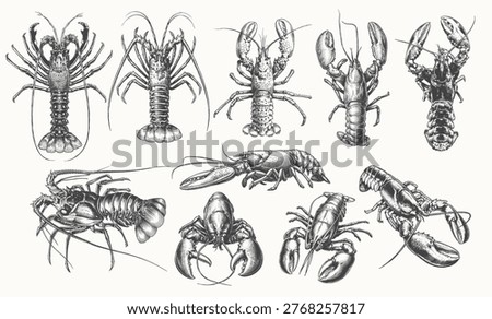 A premium selection of hand-drawn lobsters and crayfish rendered in an elegant vintage engraving style. Excellent for gourmet seafood packaging, premium restaurant menus, fishery logos, and culinary branding