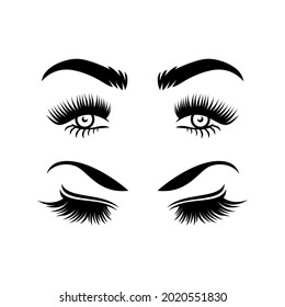 colección premium eyelash extensión belleza maquillaje salón vectorial diseño