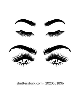 colección premium eyelash extensión belleza maquillaje salón vectorial diseño