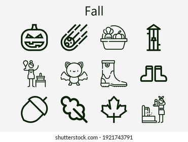 Premium set of fall [S] icons. Simple fall icon pack. Stroke vector illustration on a white background. Modern outline style icons collection of Oak leaf, Maple leaf, Free fall, Birch, Meteorite
