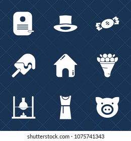 Premium set with fill icons. Such as sweet, lolly, cap, dress, flower, cream, hat, estate, chemistry, piglet, swine, sign, laboratory, stick, striped, colorful, dessert, floral, business, research, id