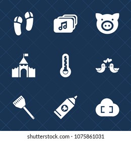 Premium set with fill icons. Such as footwear, love, piggy, temperature, pigeon, pair, fashion, livestock, hygiene, bird, hog, food, kitchen, internet, building, clean, piglet, music, cooking, video